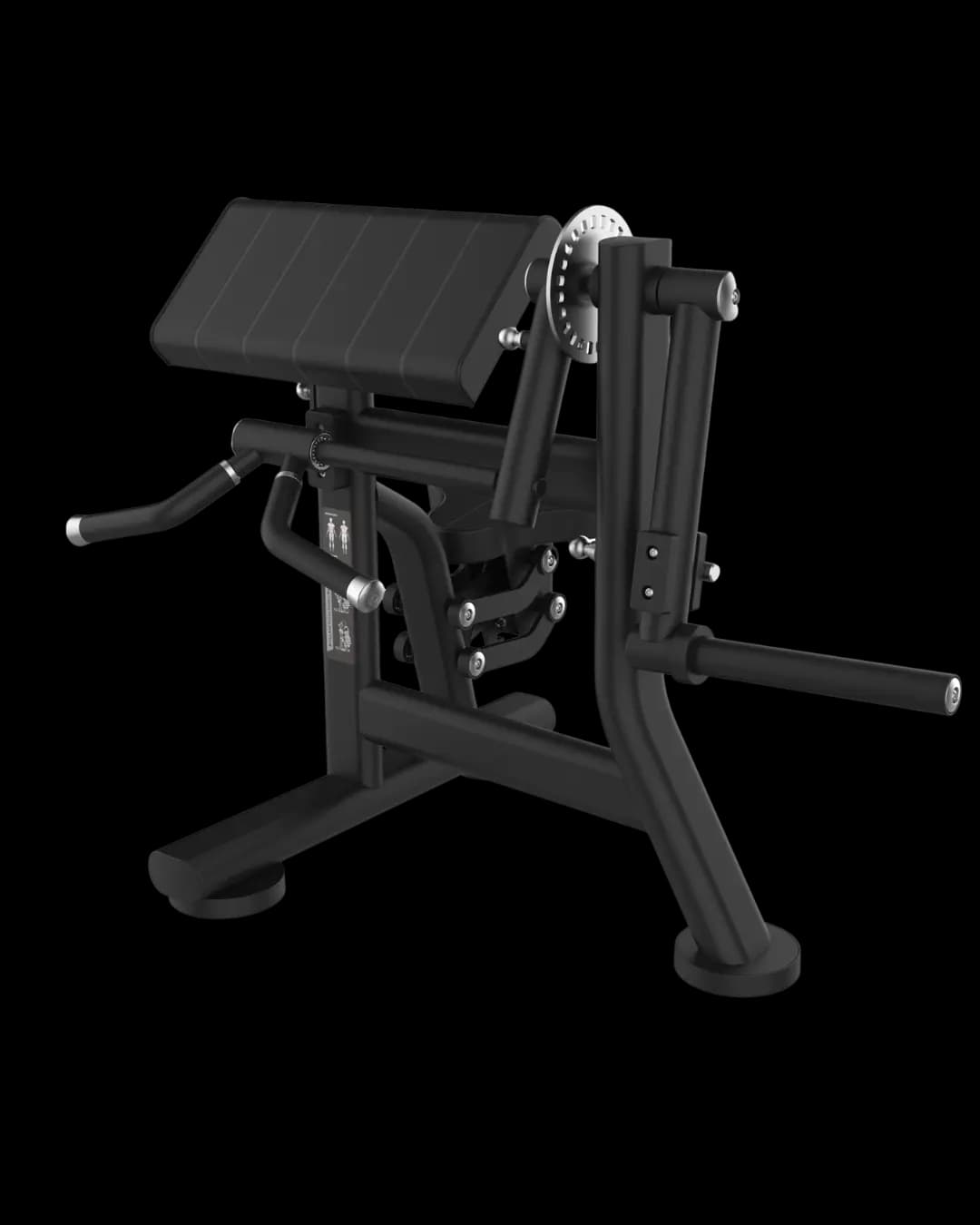 Biceps & Triceps Extension — alternate view
