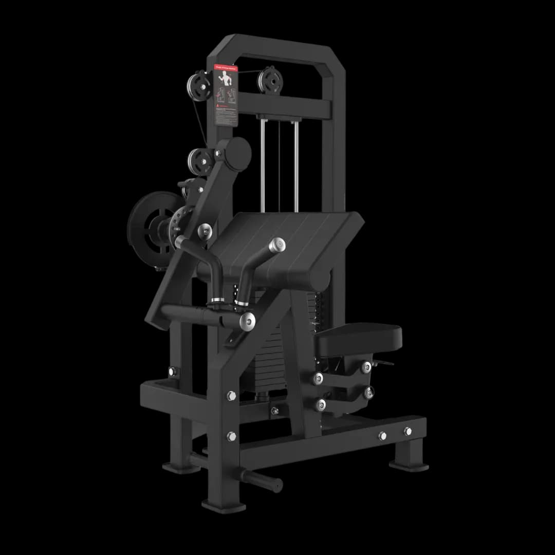Biceps & Triceps Extention — alternate view