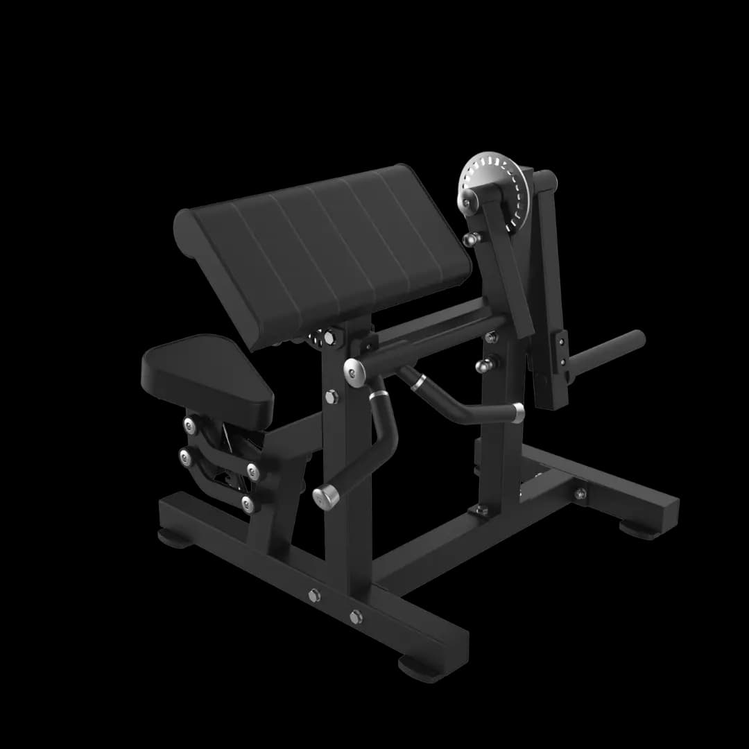 Biceps & Triceps Extension