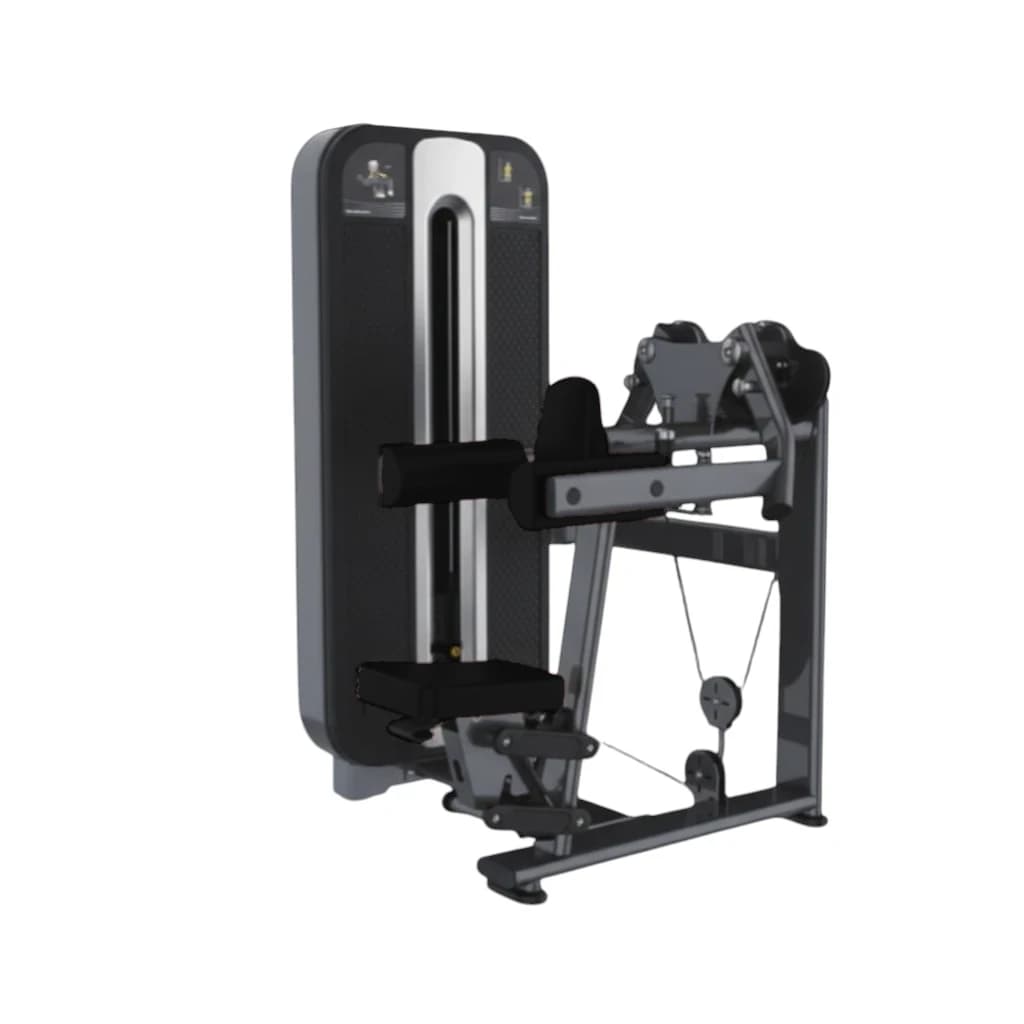 Delt Machine  — alternate view