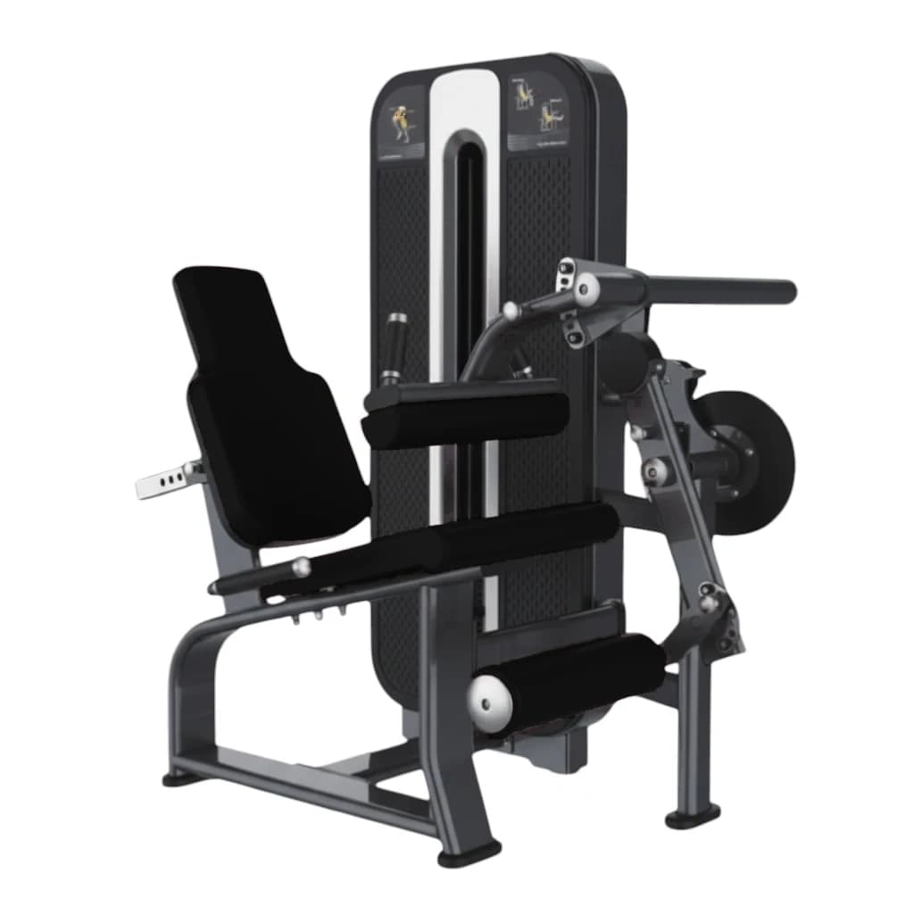 Extension Et Flexion Des Jambes