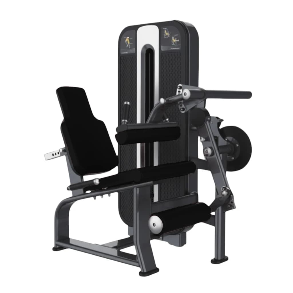 Biceps Curl & Triceps