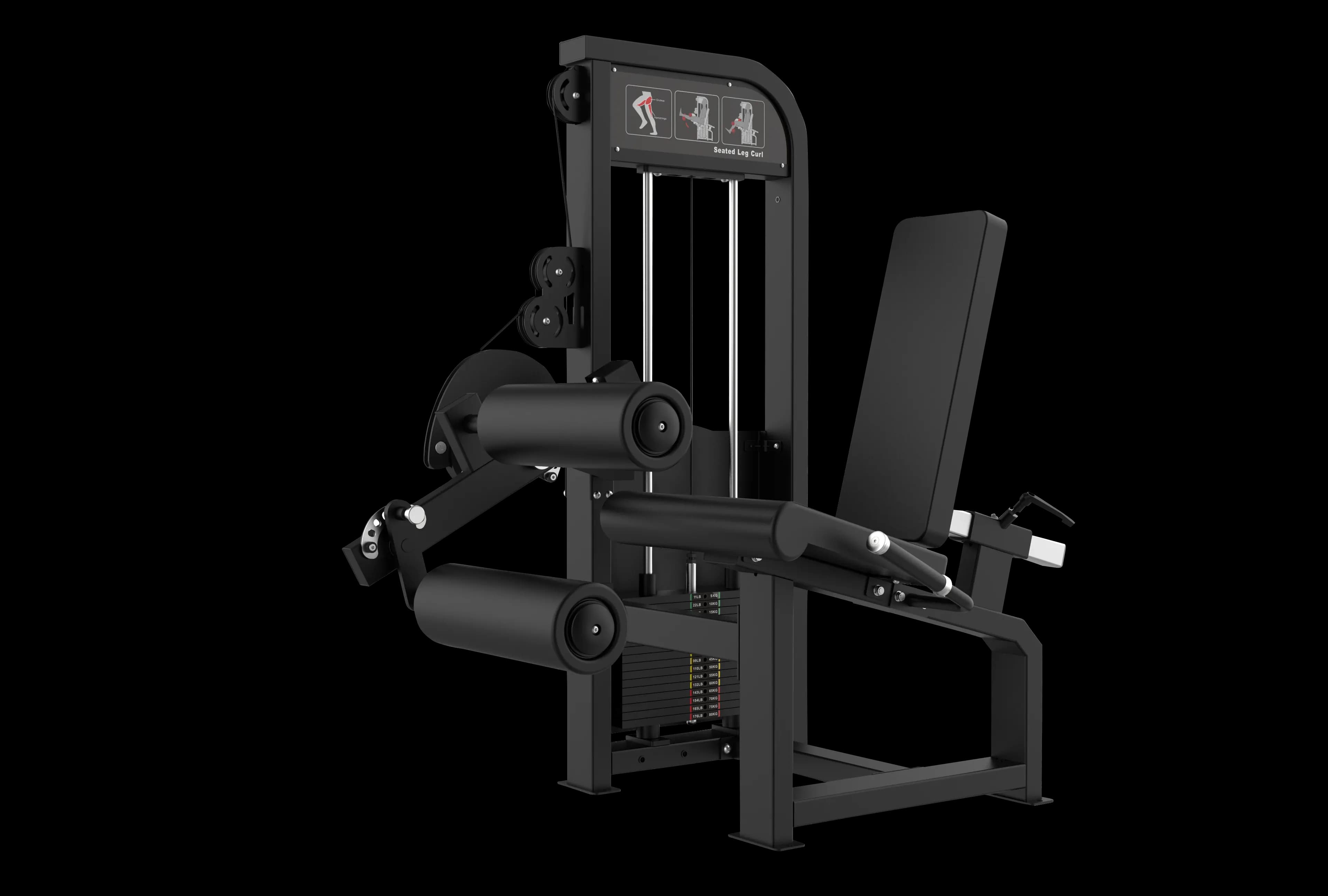 Seated Leg Curl — alternate view