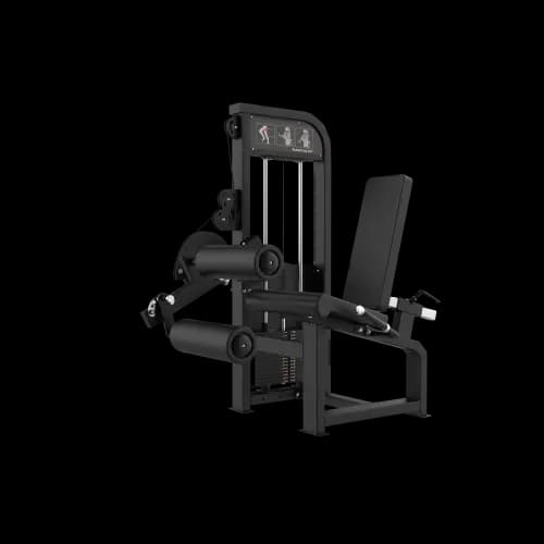 Seated Leg Curl