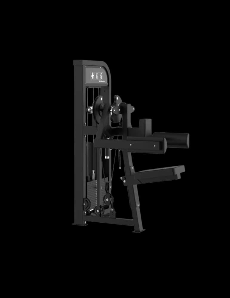 Delt Machine — alternate view