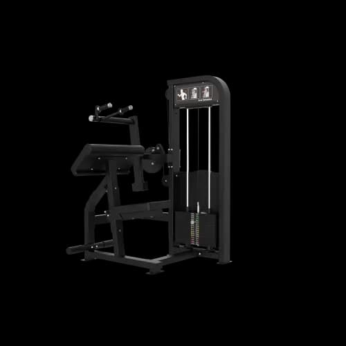 Triceps Extension