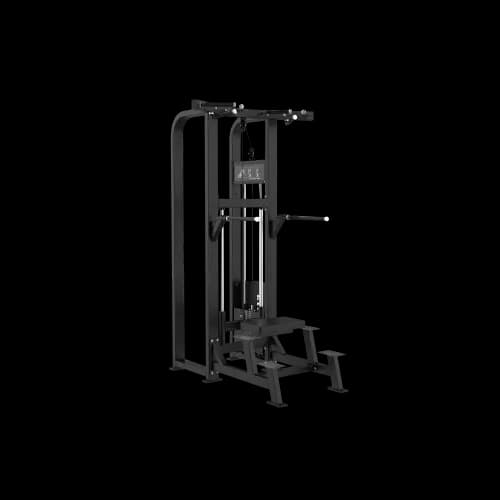 Assisted Chin Up / Dip