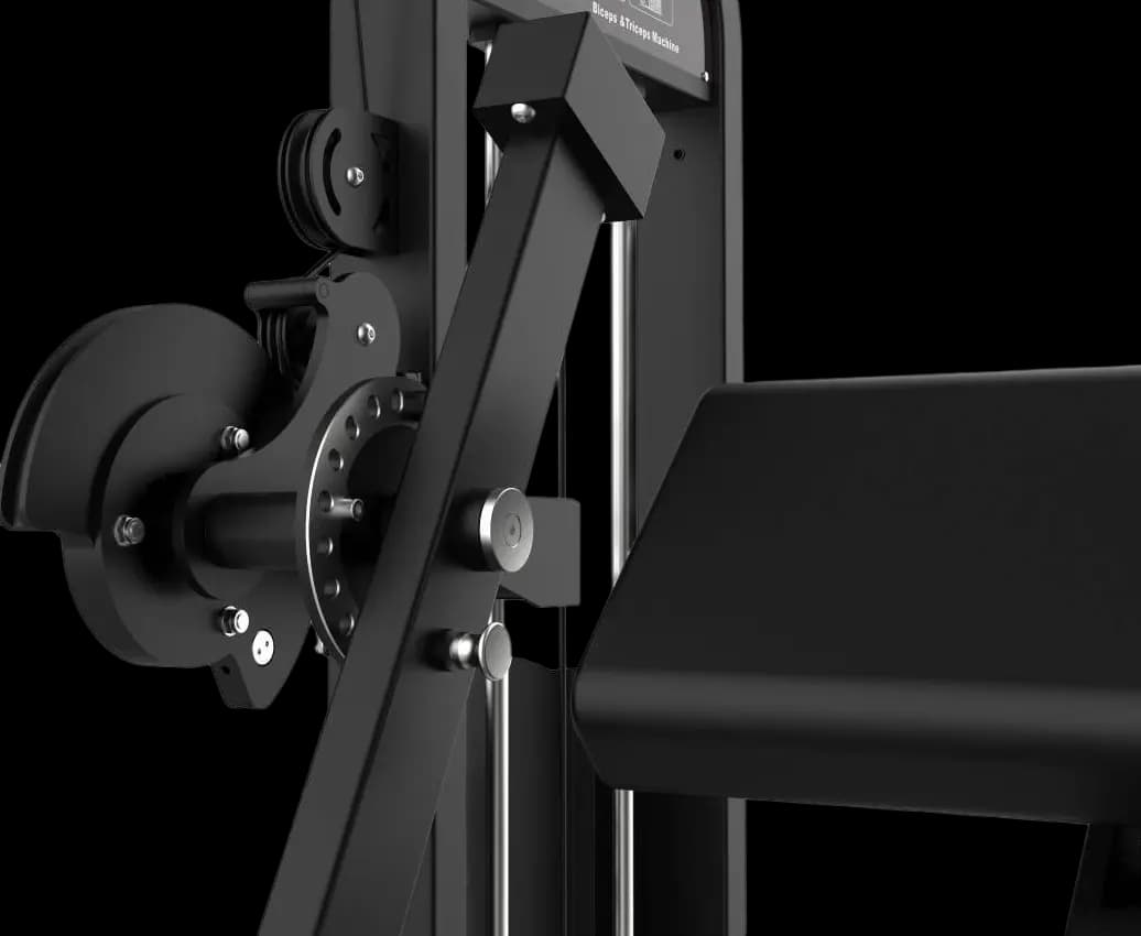 Biceps / Triceps Bench — alternate view