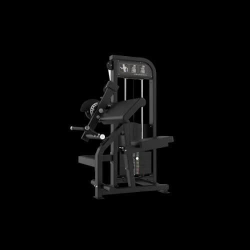 Biceps / Triceps Bench