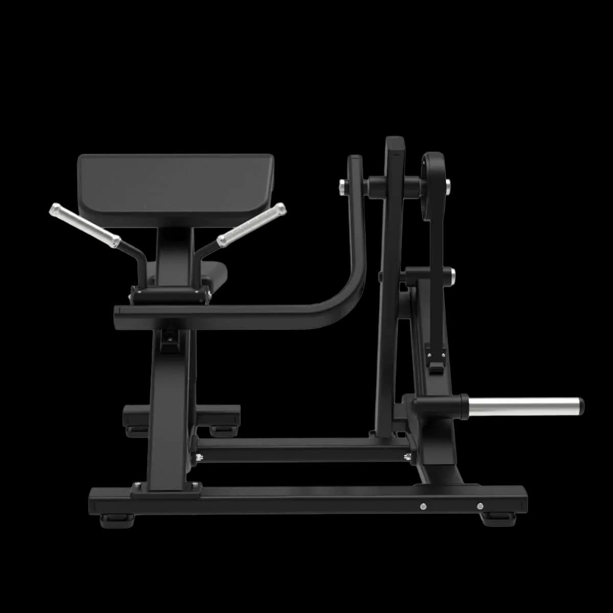Seated Biceps — alternate view