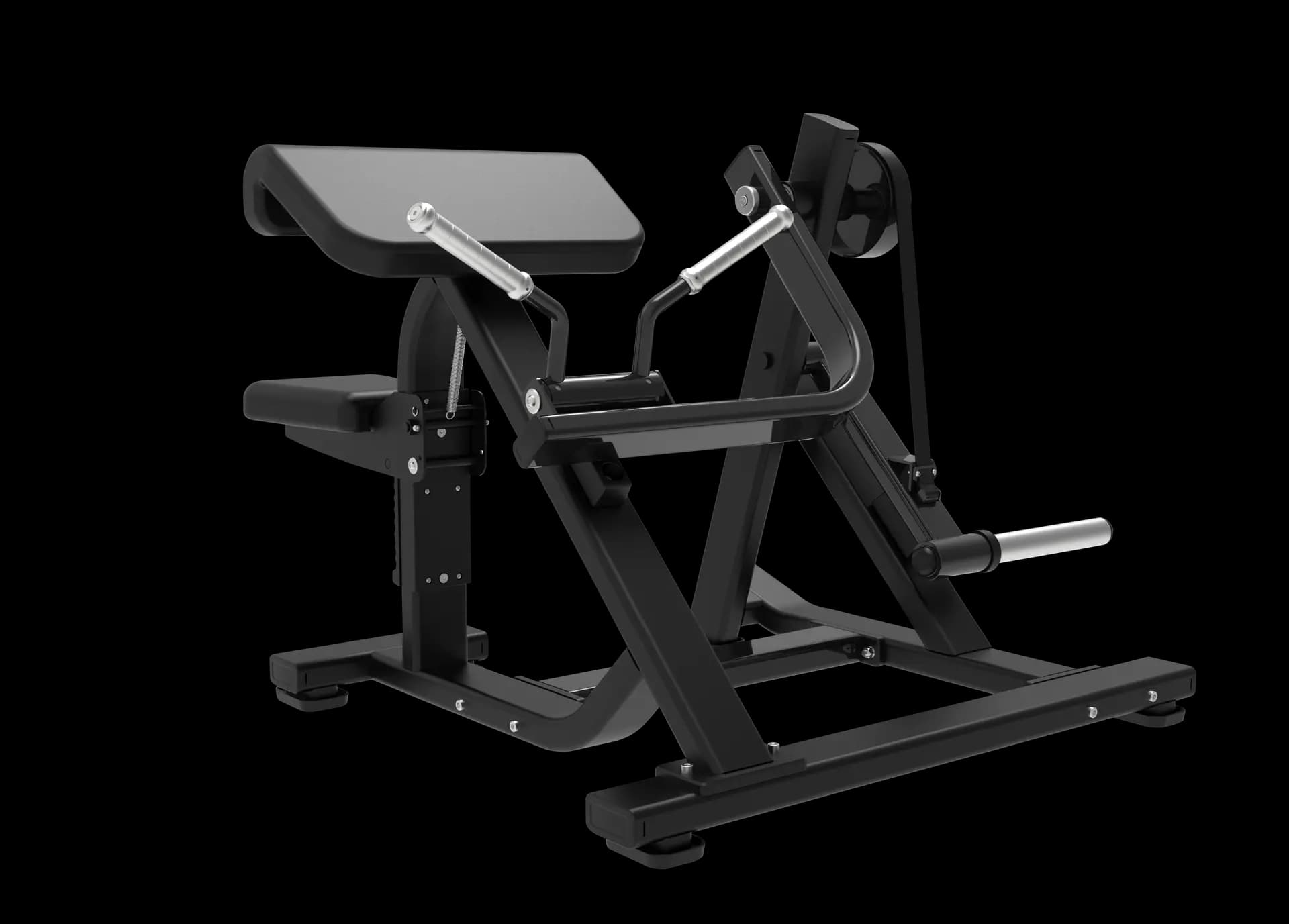 Seated Biceps