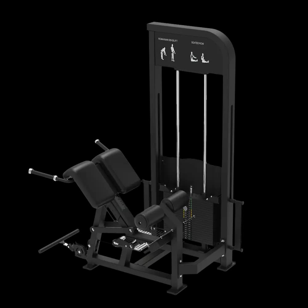 Loaded Back Extension